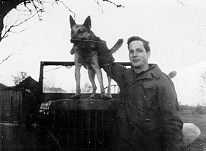 Animals in the War